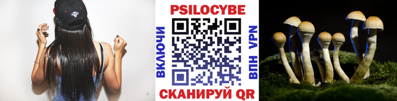 ОМГ ОМГ зеркало что такое наркотик Каменногорск Галлюциногенные грибы Magic Shrooms